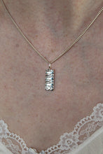 Load image into Gallery viewer, Customised Drop Necklace
